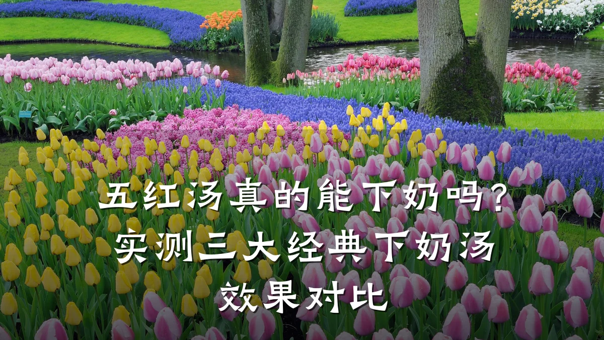 五红汤真的能下奶吗?实测三大经典下奶汤效果对比