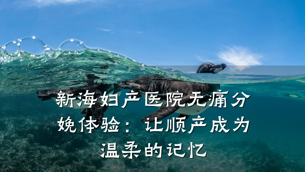 新海妇产医院无痛分娩体验:让顺产成为温柔的记忆