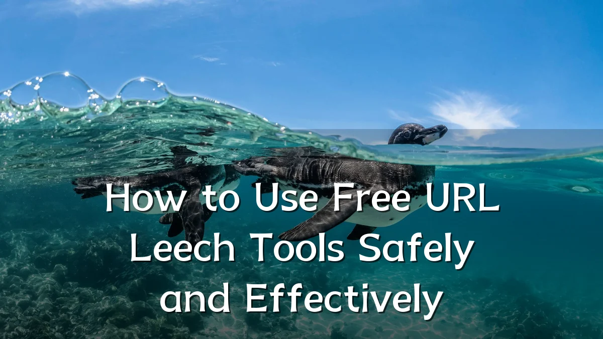 How to Use Free URL Leech Tools Safely and Effectively