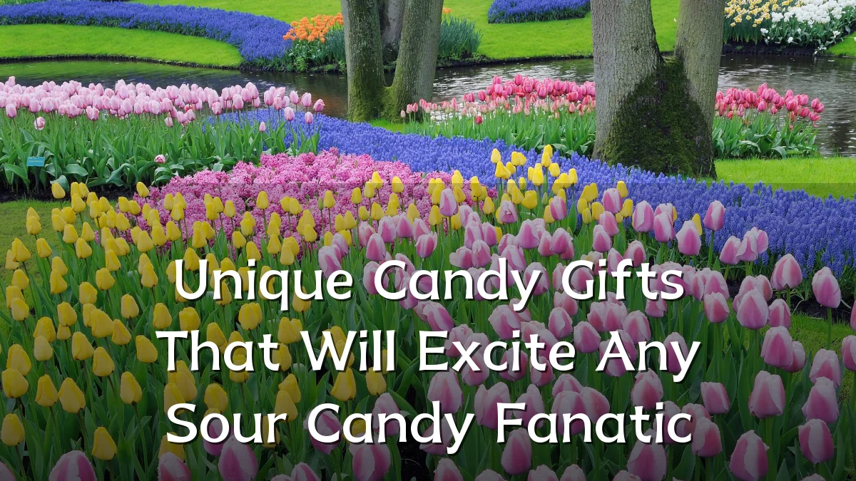 Unique Candy Gifts That Will Excite Any Sour Candy Fanatic