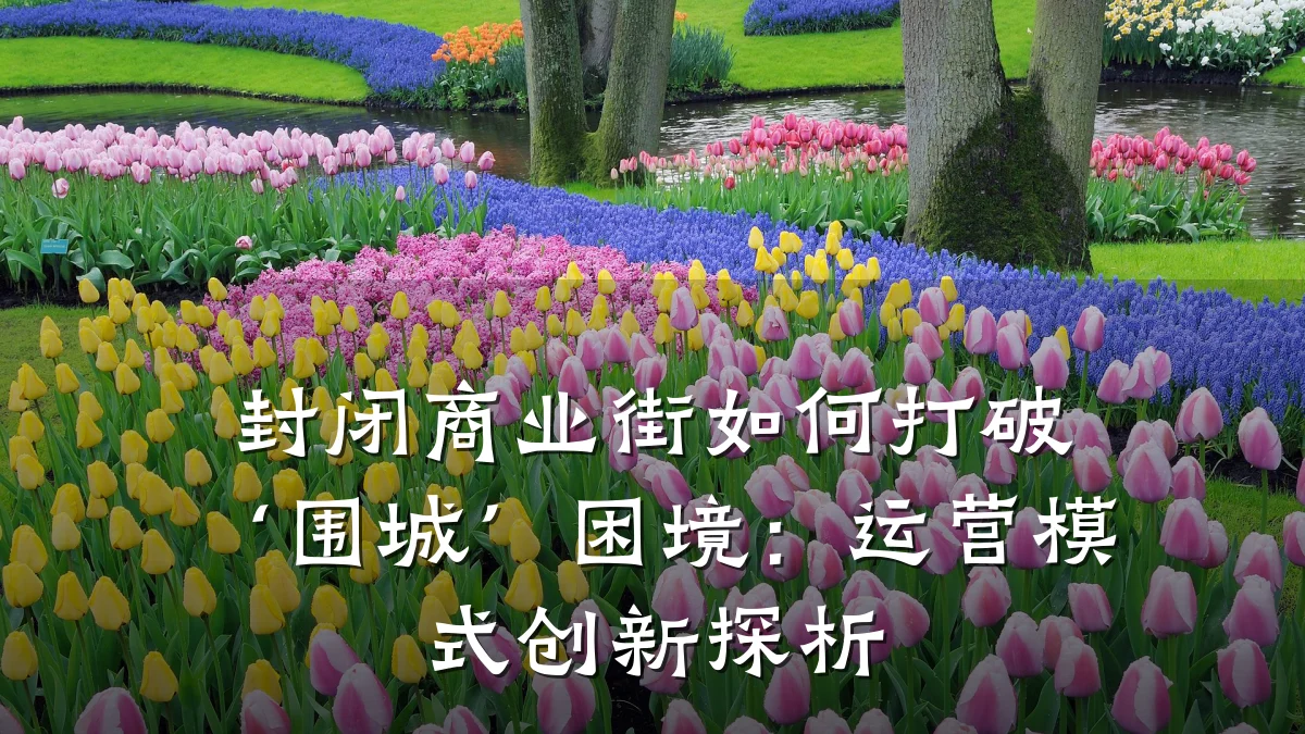 封闭商业街如何打破‘围城’困境:运营模式创新探析