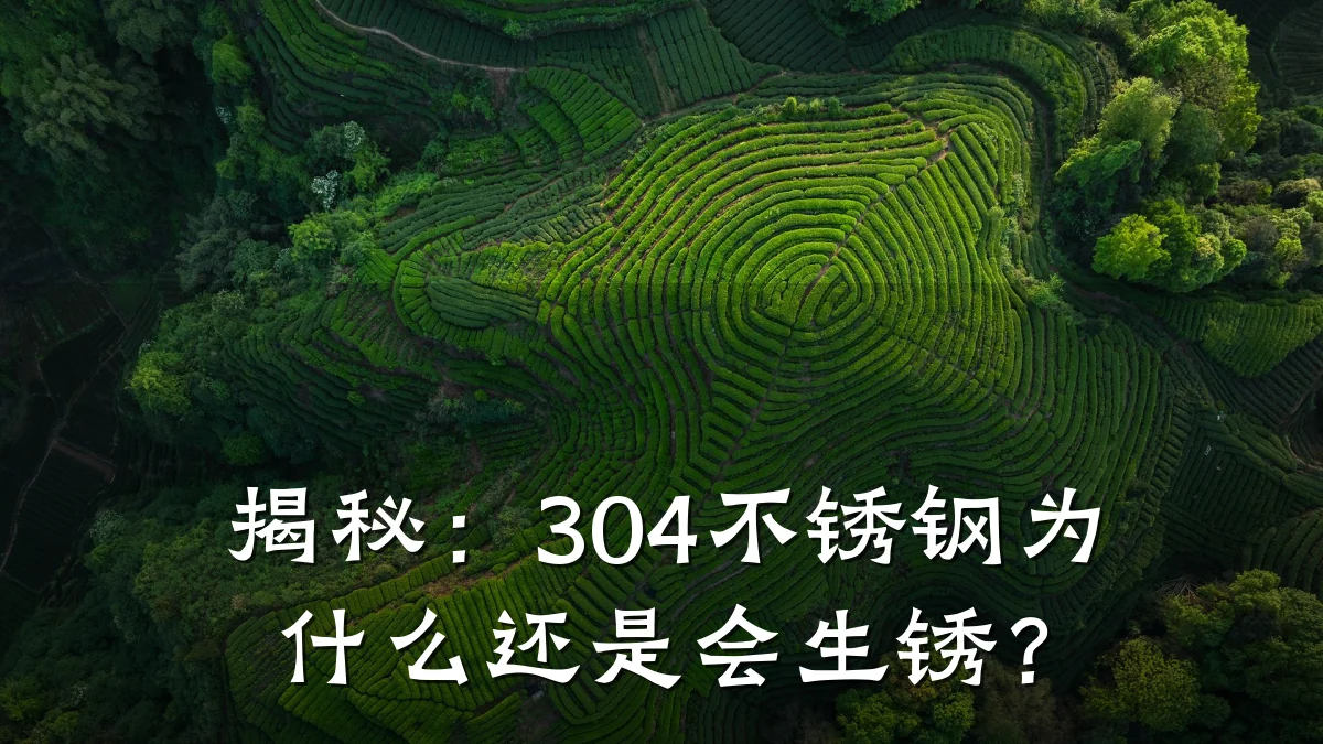 揭秘：304不锈钢为什么还是会生锈？