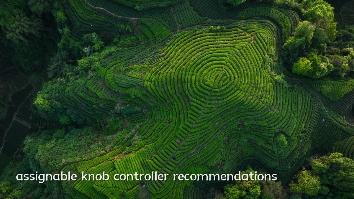 assignable knob controller recommendations