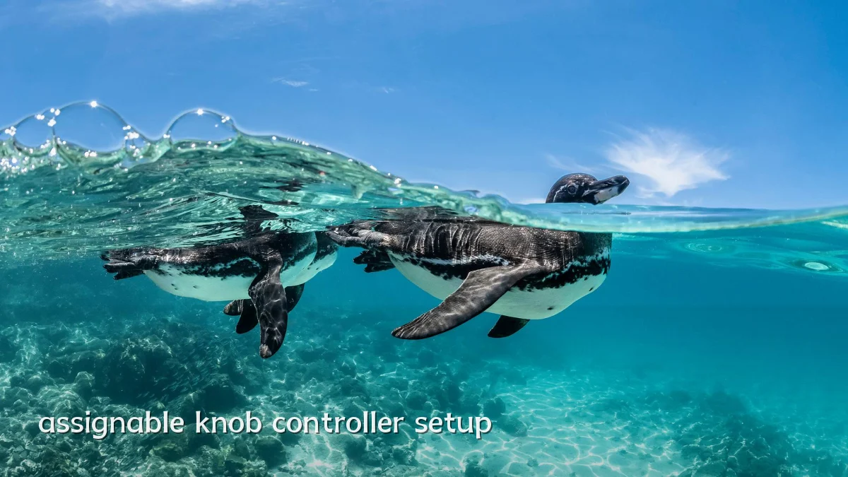 assignable knob controller setup