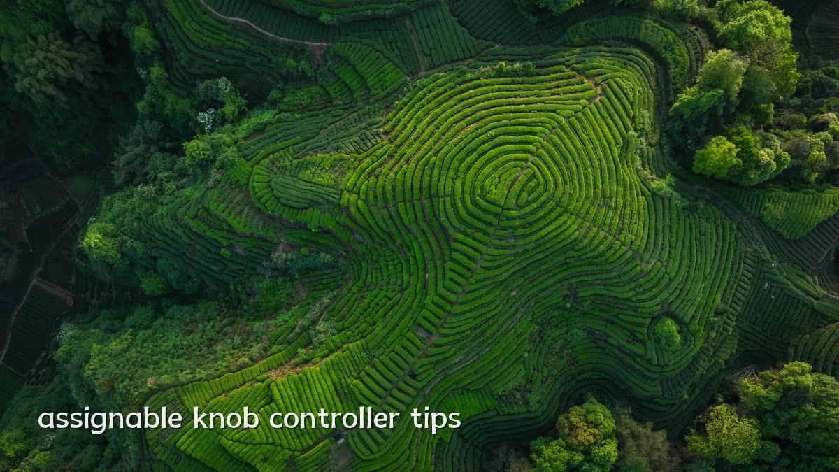 assignable knob controller tips