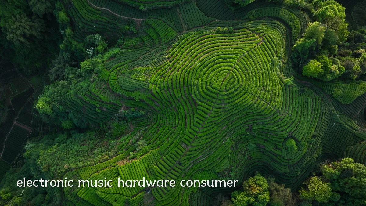 electronic music hardware consumer