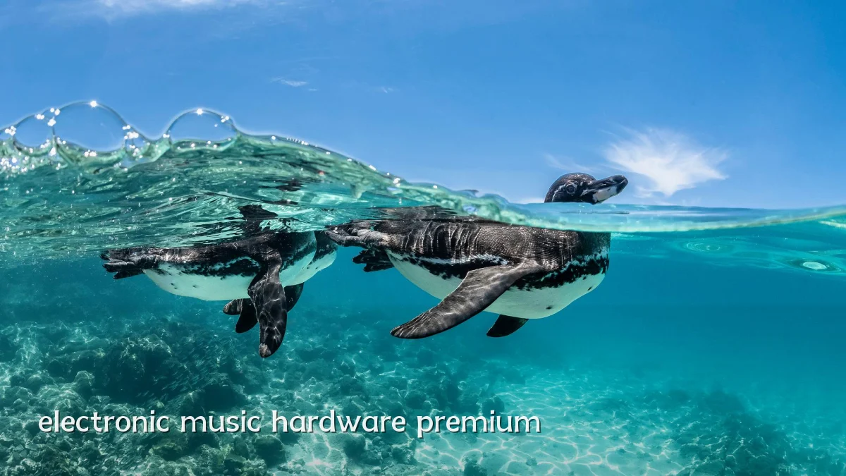 electronic music hardware premium