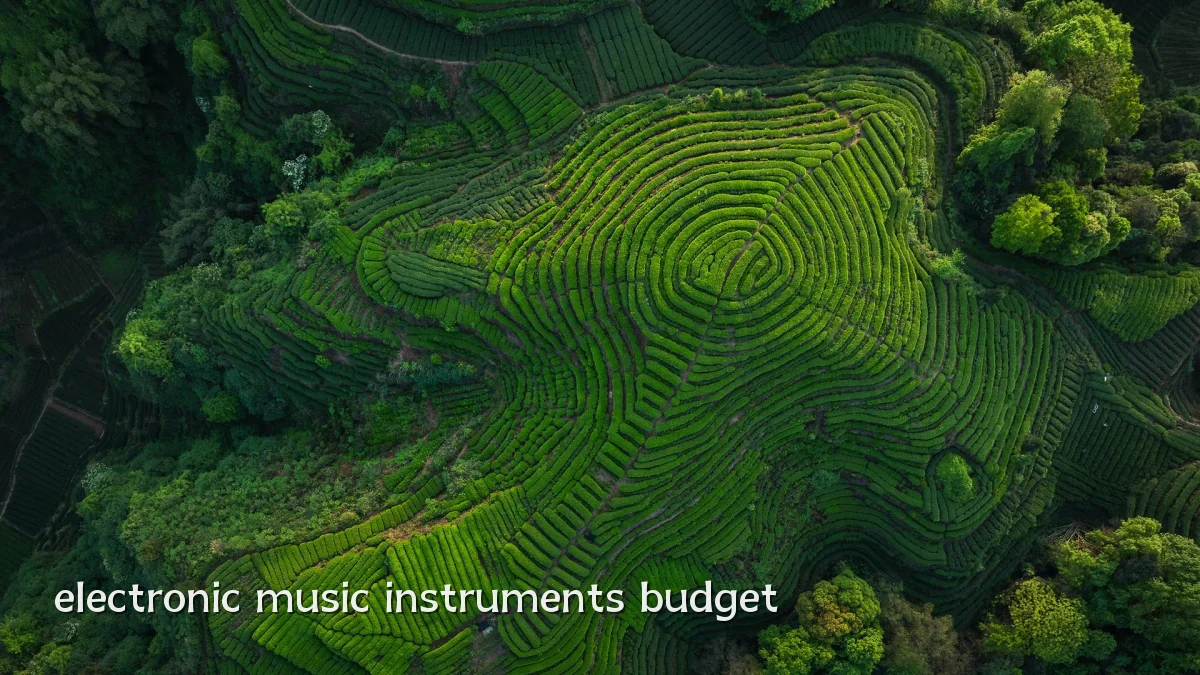 electronic music instruments budget