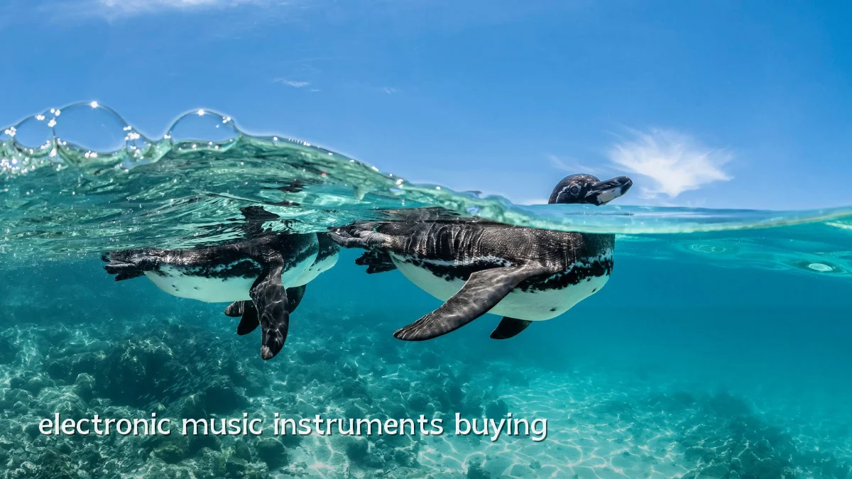 electronic music instruments buying