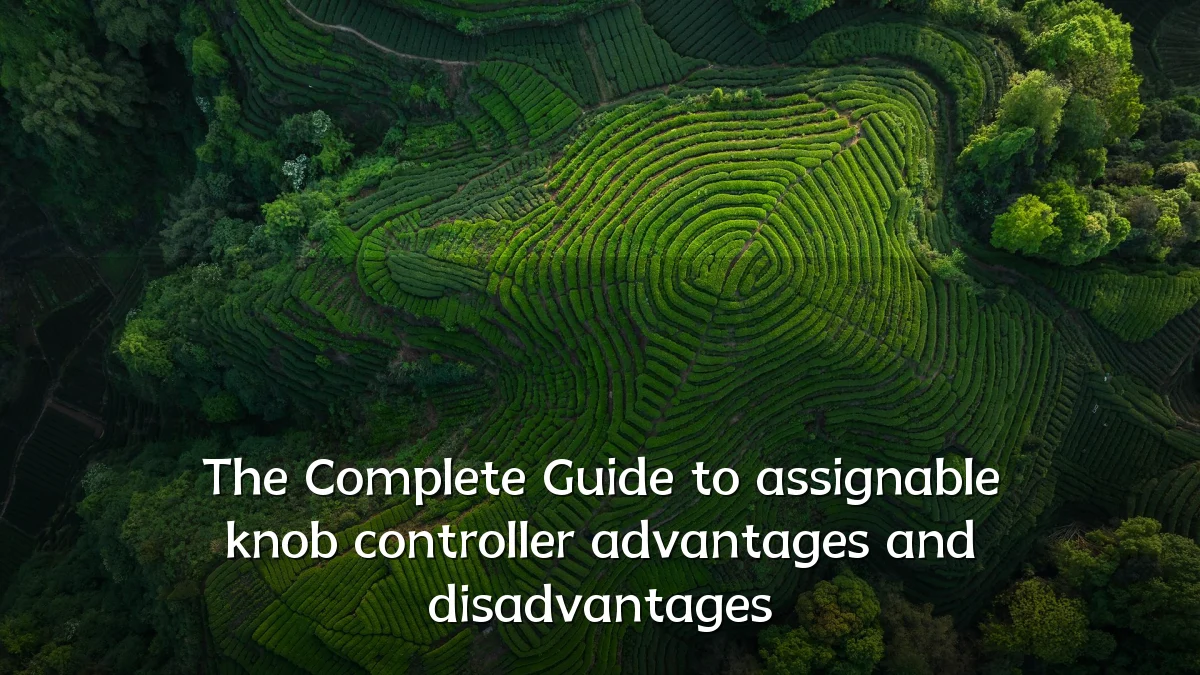 The Complete Guide to assignable knob controller advantages and disadvantages