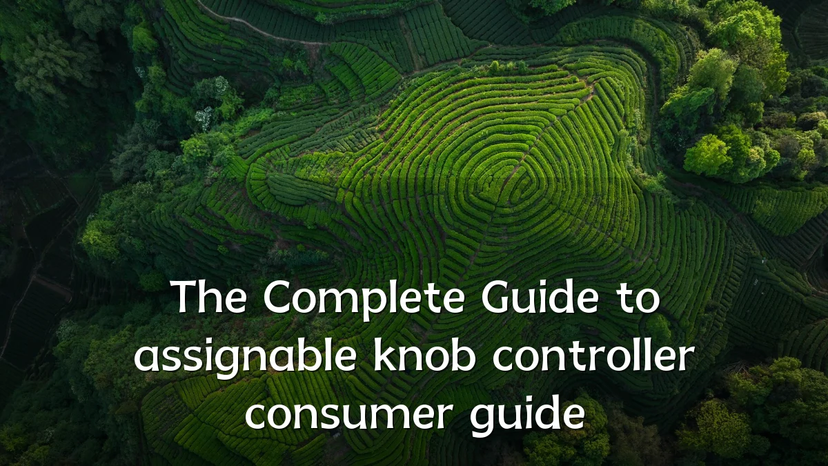 The Complete Guide to assignable knob controller consumer guide