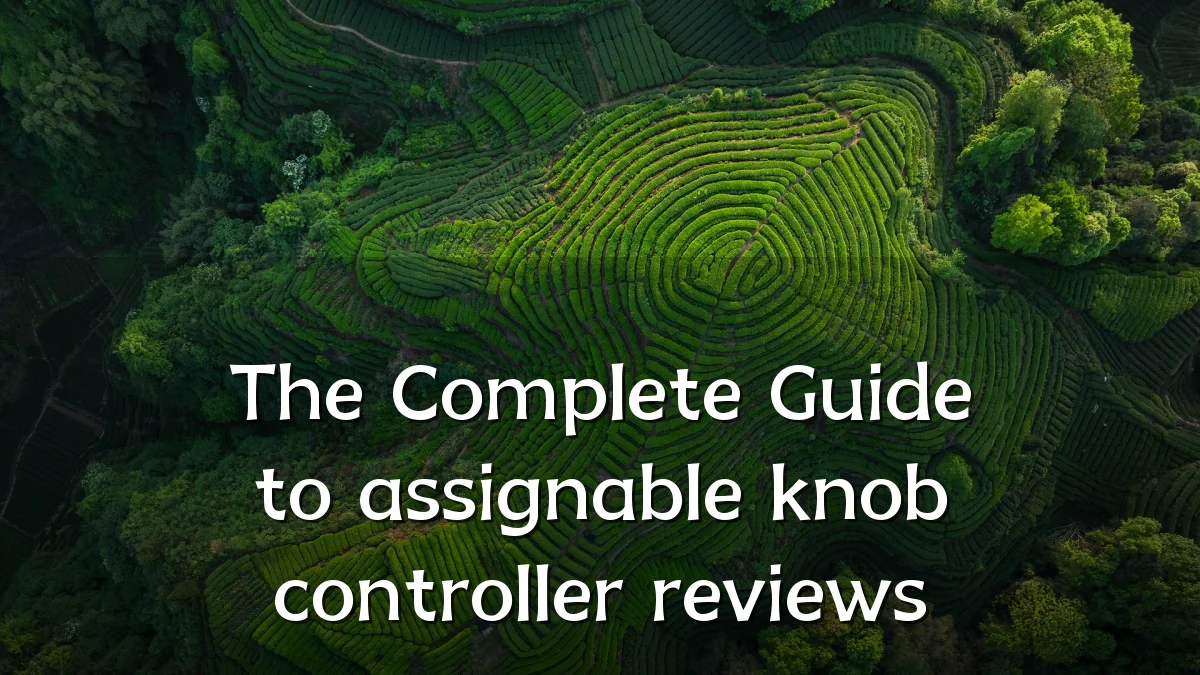 The Complete Guide to assignable knob controller reviews