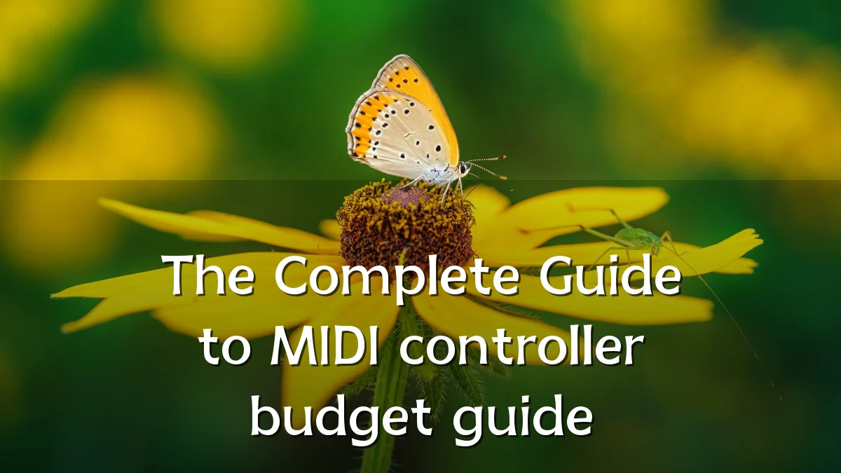The Complete Guide to MIDI controller budget guide