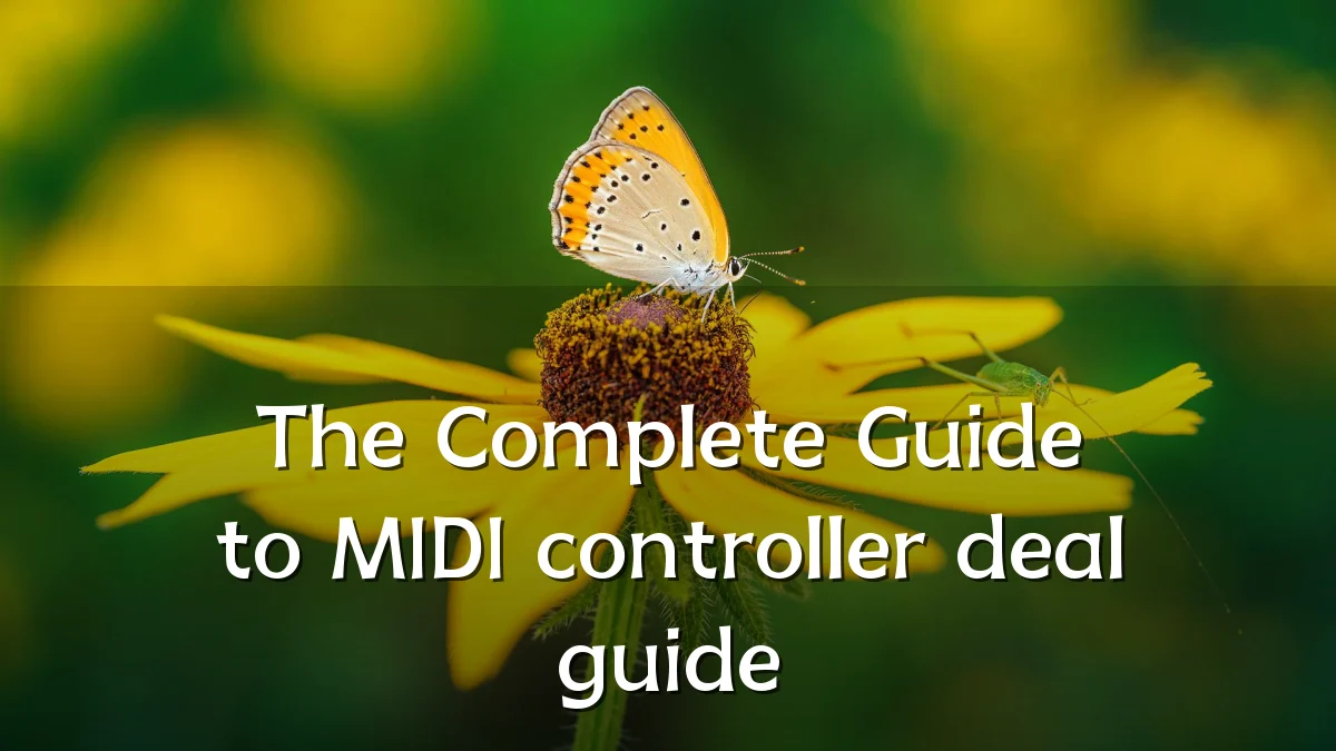 The Complete Guide to MIDI controller deal guide