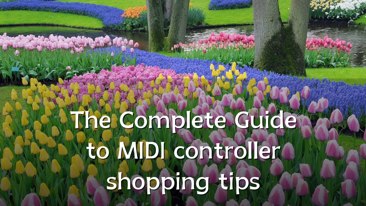 The Complete Guide to MIDI controller shopping tips