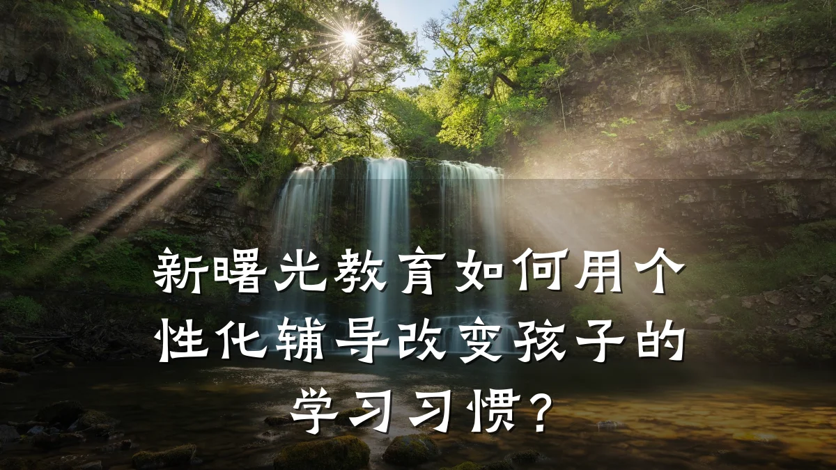 新曙光教育如何用个性化辅导改变孩子的学习习惯？
