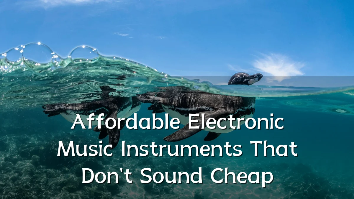 Affordable Electronic Music Instruments That Don't Sound Cheap