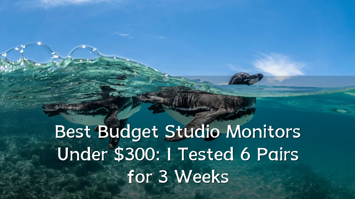 Best Budget Studio Monitors Under $300: I Tested 6 Pairs for 3 Weeks