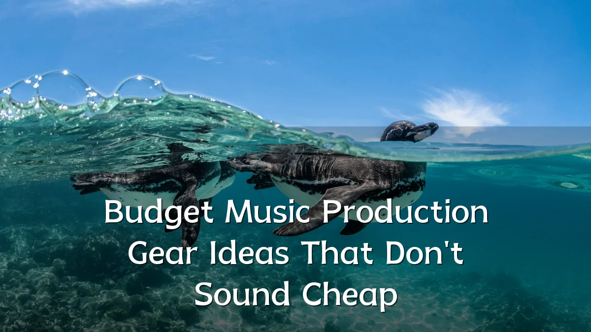 Budget Music Production Gear Ideas That Don't Sound Cheap