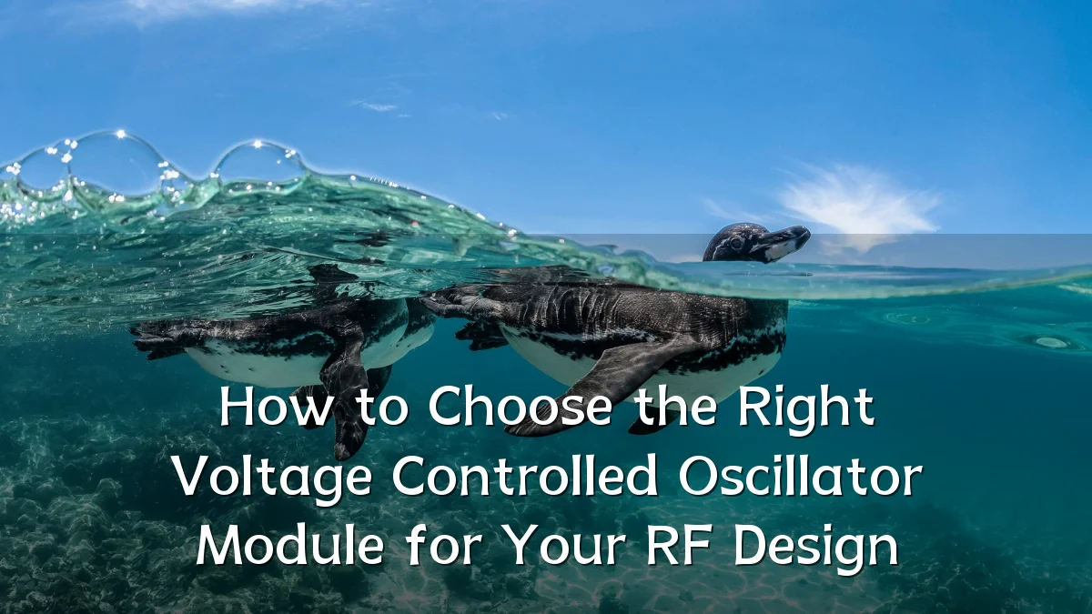 How to Choose the Right Voltage Controlled Oscillator Module for Your RF Design
