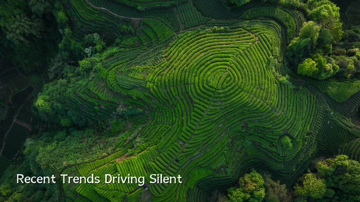 Recent Trends Driving Silent