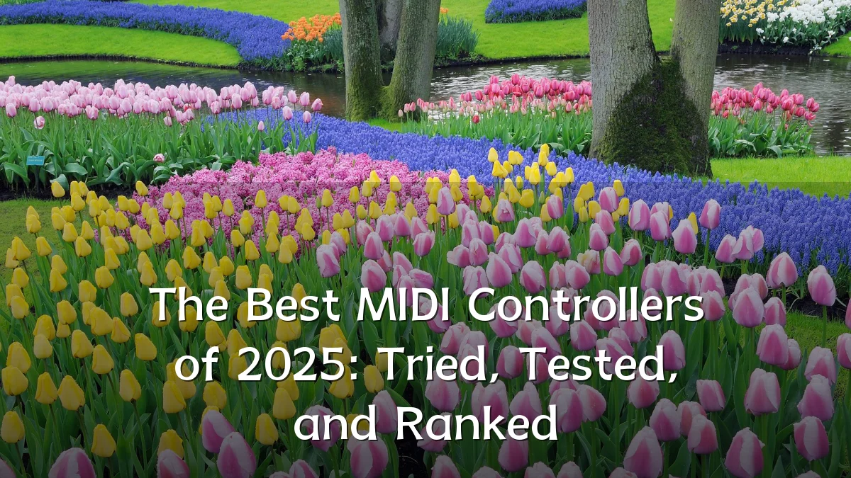 The Best MIDI Controllers of 2025: Tried, Tested, and Ranked