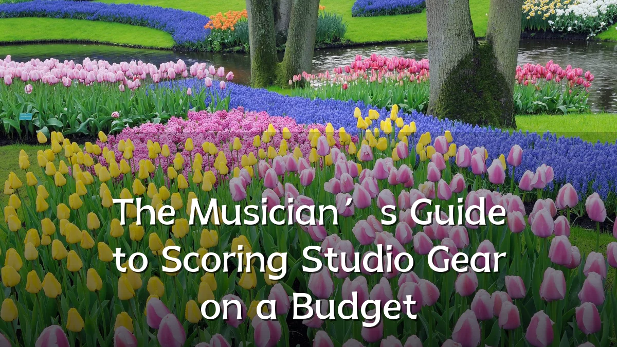 The Musician’s Guide to Scoring Studio Gear on a Budget