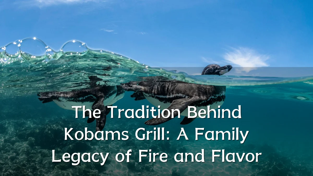 The Tradition Behind Kobams Grill: A Family Legacy of Fire and Flavor