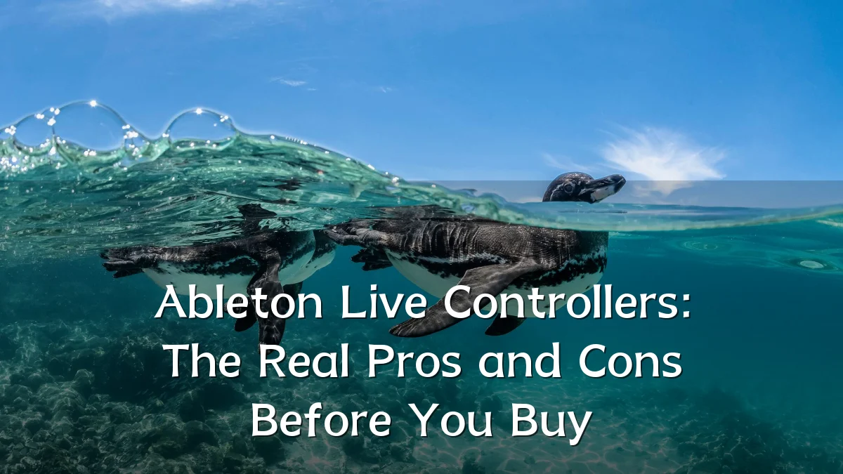 Ableton Live Controllers: The Real Pros and Cons Before You Buy