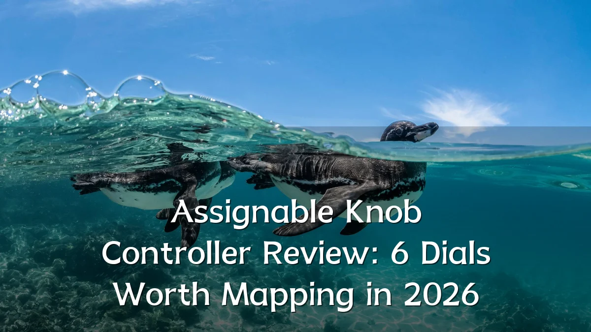 Assignable Knob Controller Review: 6 Dials Worth Mapping in 2026