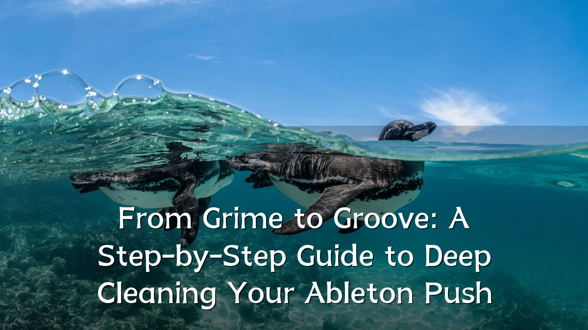 From Grime to Groove: A Step-by-Step Guide to Deep Cleaning Your Ableton Push