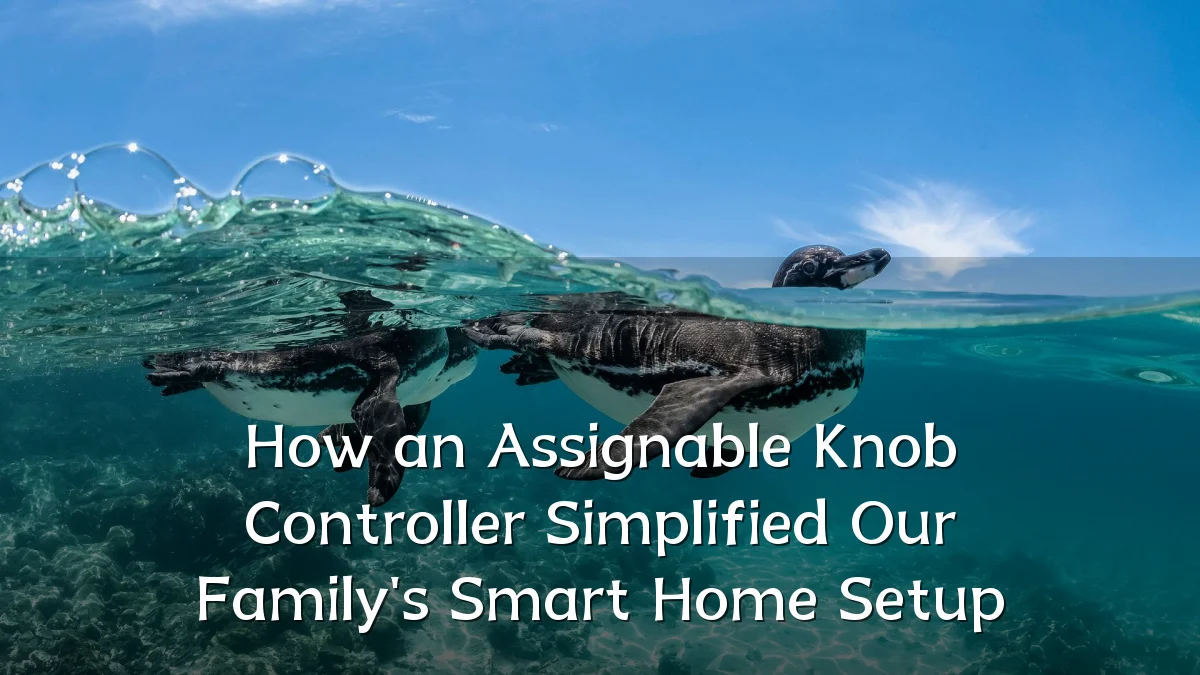 How an Assignable Knob Controller Simplified Our Family's Smart Home Setup