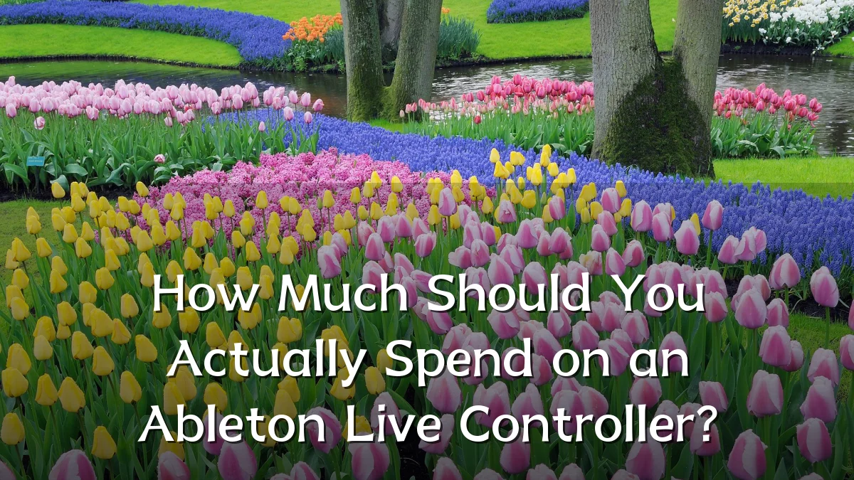 How Much Should You Actually Spend on an Ableton Live Controller?