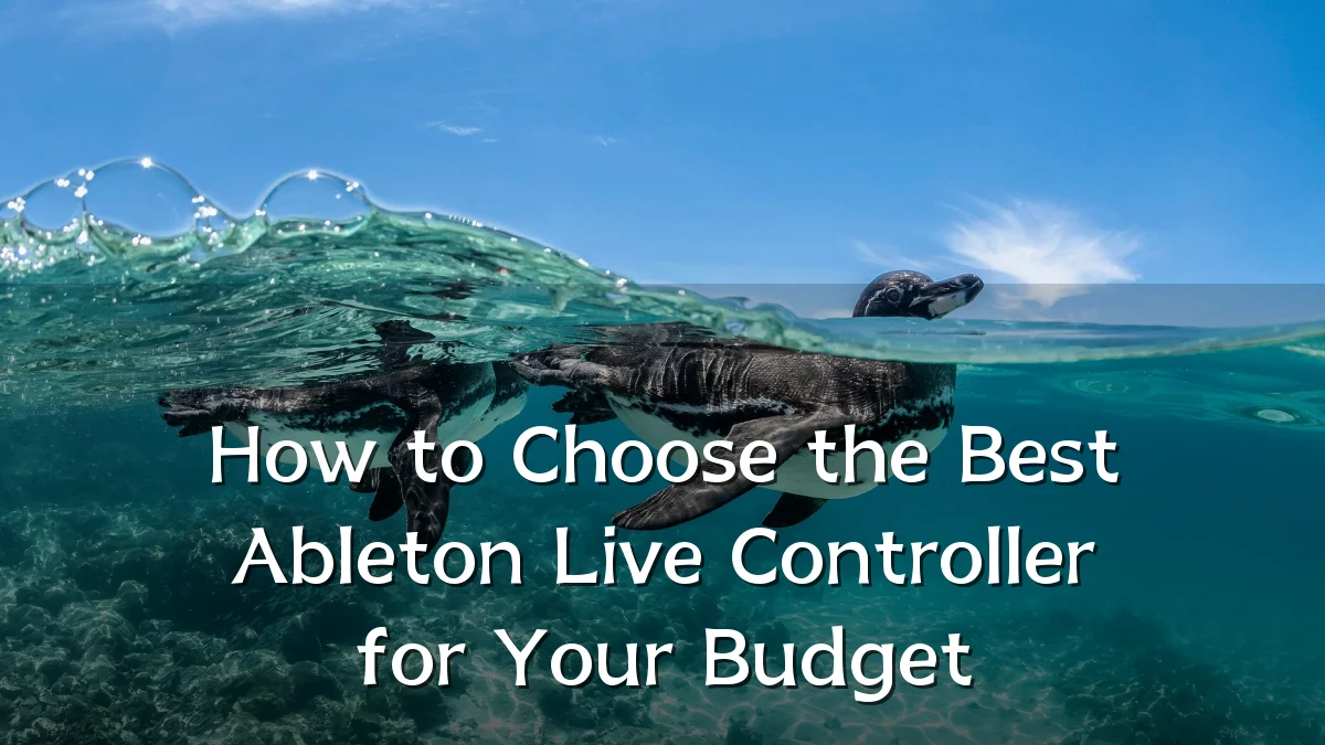 How to Choose the Best Ableton Live Controller for Your Budget