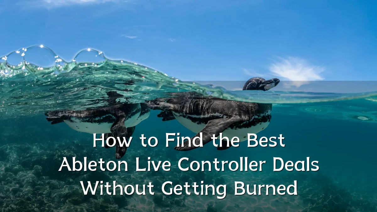 How to Find the Best Ableton Live Controller Deals Without Getting Burned