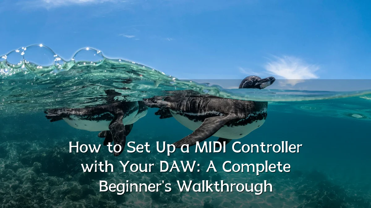 How to Set Up a MIDI Controller with Your DAW: A Complete Beginner's Walkthrough