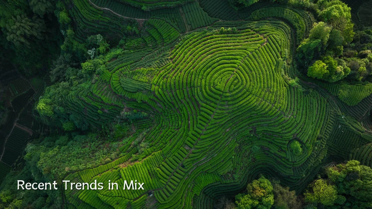 Recent Trends in Mix
