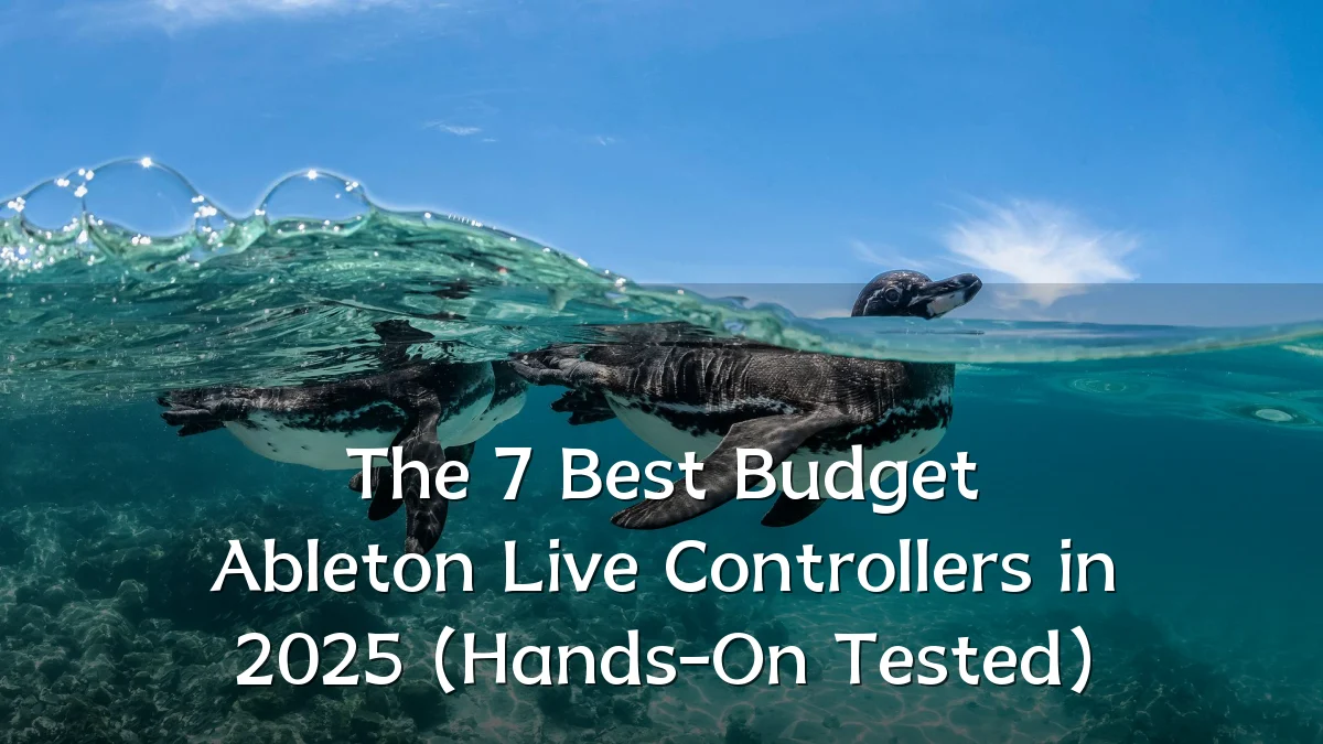 The 7 Best Budget Ableton Live Controllers in 2025 (Hands-On Tested)