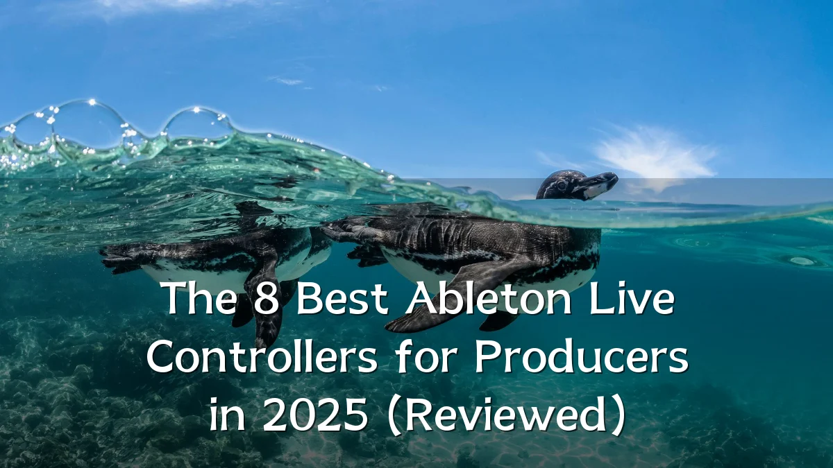 The 8 Best Ableton Live Controllers for Producers in 2025 (Reviewed)